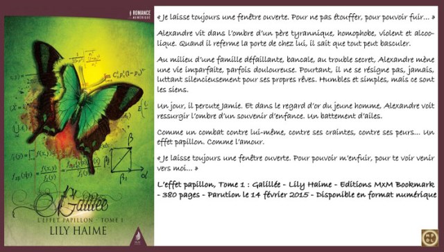 L'EffetPapillon1