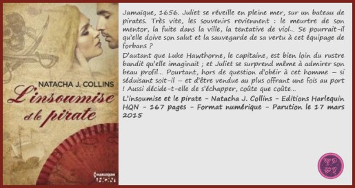 L'insoumiseEtLePirate