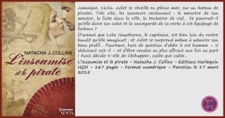 L'insoumiseEtLePirate