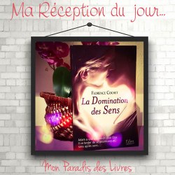 receptionspladominationdessens