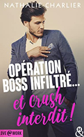 operation_boss_infiltre_et_crush_interdit-1497475-66-108