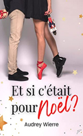 Et-si-c-etait-pour-noel-audrey-wierre