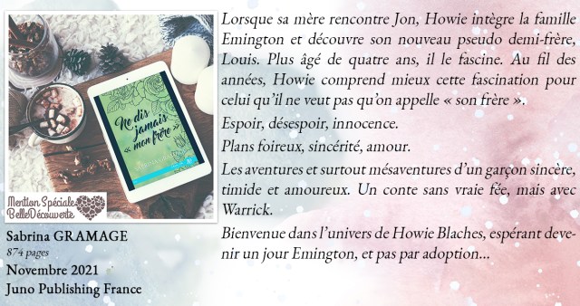 Ne-dis-jamais-mon-frere-Sabrina-Gramage-mpdl