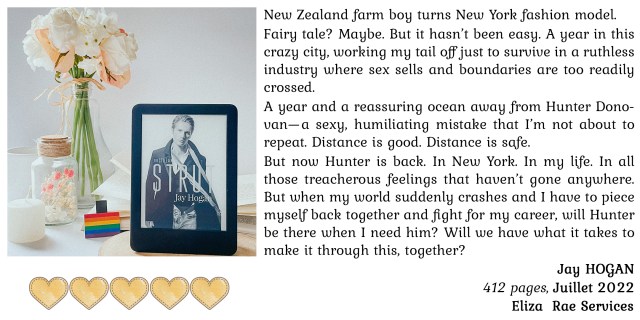 The-style-2-Strut-jay-hogan-mpdl