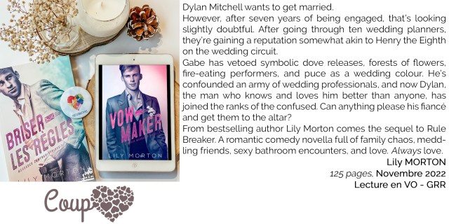 Mixed-messages-4-vow-maker-lily-morton-mpdl