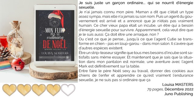 Hidden-spicies-1-5-Mon-flirt-pas-si-ordinaire-de-noel-louisa-masters-mpdl