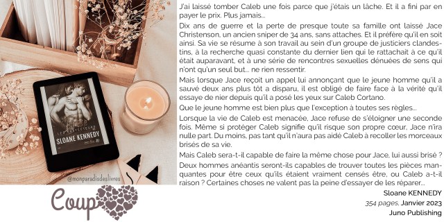 Les-protecteurs-11-brise-sloane-kennedy-mpdl