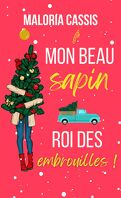 mon_beau_sapin_roi_des_embrouilles-5217150-121-198