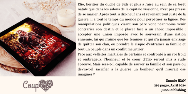 Review-La-voie-du-consort-emmie-jean-mpdl